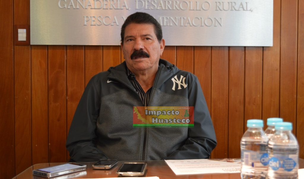 Productores veracruzanos deben buscar mercados alternativos para exportar sus productos: SAGARPA