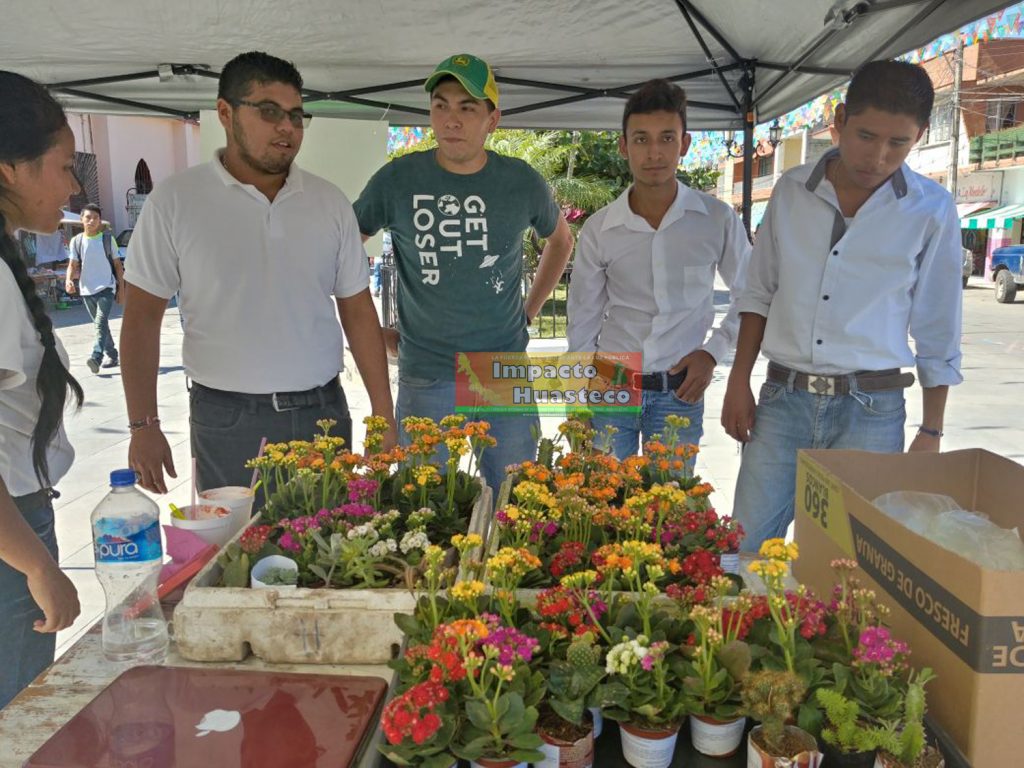 Estudiantes de la unidad académica Tempoal ITSTA, realizan la segunda campaña anual "plantando una sonrisa"